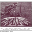 Pan Th�ner na ryb��sk�m v�let� v Jugosl�vii, rok 1938