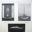 1938 putovn� ceny