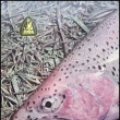 Katalog rybářských potřeb Ryna, 1960