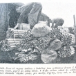 zpr�va z Mahenova Ryb��e 1946